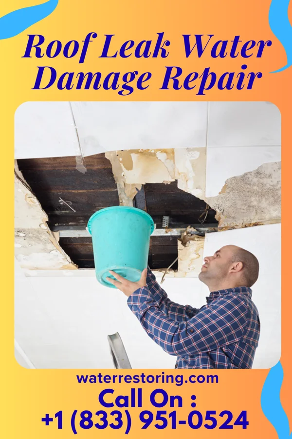 Roof Leak Water Damage Repair in Hitchcock, SD
